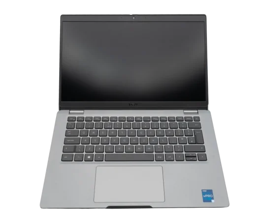 two men using laptop