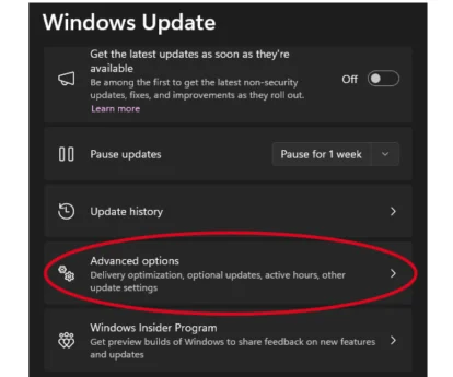 Inception - Windows Updates Guide